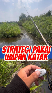 UMPAN PANCING RIPTIDE GADA WALKING SOFT FROG BERAT 4.7 GR PANJANG 6 CM TOP WATER CASTING