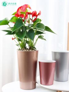 Knee High round Flower Pot Simple Home Faux-Metallic Balcony Desktop Self-Absorbent Bean Bag Green Radish Succulent Orchid Flower Pot