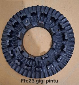 ffc 23 dismill gigi pintu