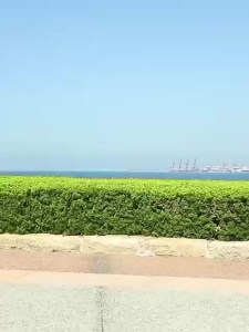 Retractable Folding Stool: The Ultimate Outdoor Portable Chair