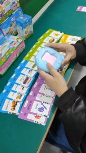 Máy đọc thẻ song ngữ Anh - Việt