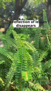 Universal Phone Camera Polarized Lens Rotatable Design Professional Clip Phone Camera Lens Attachment