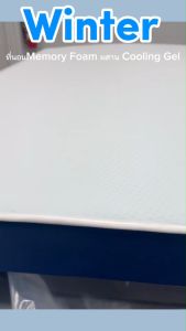 WellPlus [อัดสุญญากาศ] รุ่น Winter ที่นอนเมมโมรี่โฟม ผสมคูลลิ่งเจลไม่กักเก็บความร้อน ช่วยกระจายแรงกดทับ ระบายอากาศได้ดี รับประกันโครงสร้าง 10 ปี