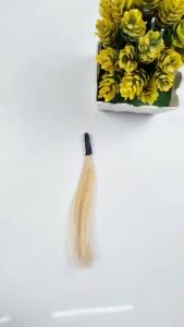 Thuốc Nhuộm Tóc Màu Xanh Dương Pastel - Risu Hair.