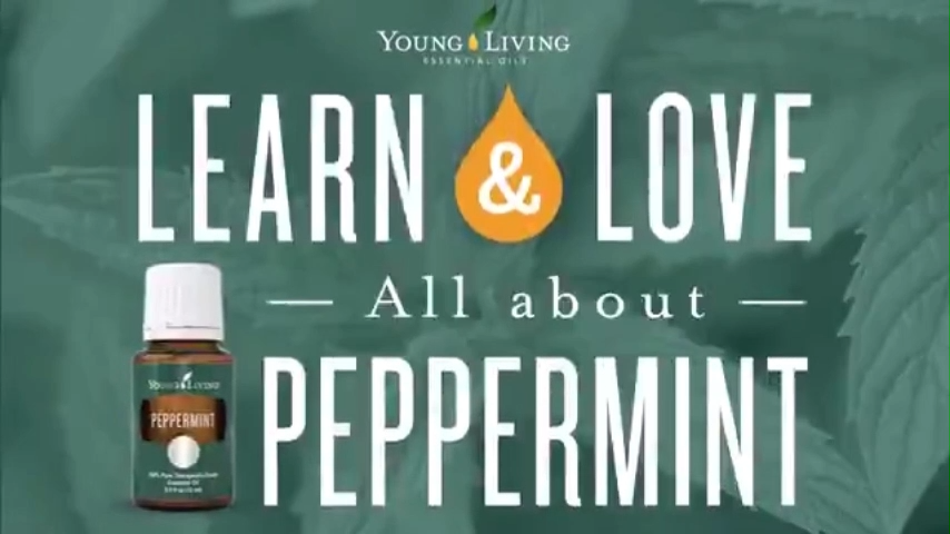 Young Living Essential Oil Set Lavender Lemon Peppermint Frankincense Eucalyptus Thieves RC Minyak Pati Asli