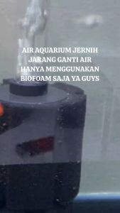 Paket Lengkap Filter Bio Foam Ukuran S M L Filter Awuarioium