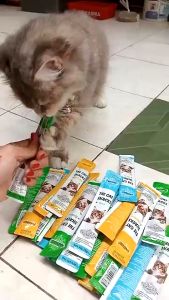 Snack Kucing Cemilan Kucing Meo Snack Hewan Peliharaan Cat Snack Treats Snack makanan basah untuk kucing 16g