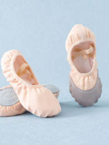 Soft Sole Non-slip Ballet Practice Shoes Pink