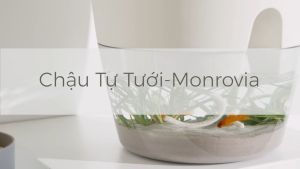 Chậu trồng cây tự tưới thông minh Monrovia size Lớn phong cách Châu Âu để bàn làm việc trang trí trong nhà ban công