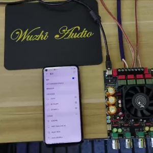 Ziqqucu | ZK-APTX3 Qualcomm Bluetooth Digital Amplifier Board 2.1 Channel 300W*2+600W Amplifier Chip TPA3255 Bluetooth Speaker Board