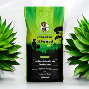 อะมิโน ฮิวมิค ตราพี่คิงส์