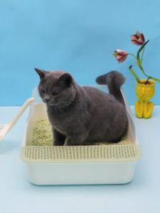 กระบะทรายแมว พร้อมที่ตัก รุ่นขอบสูง กระบะทรายพร้อมที่ตักทราย ห้องน้ำแมว ห้องน้ำแมวราคาถูก พร้อมที่ตักทราย สำหรับกระบะทราย ผู้ชาย เชี่ยวชาญ การดูแลสุขภาพ