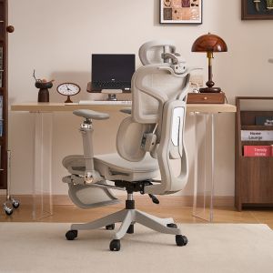 ZHUOLESHI | Ergonomic Comfort Office Chair