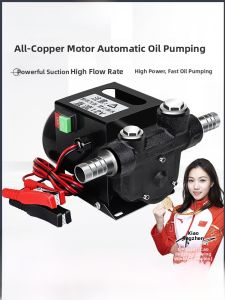 Electric  Oil Pump 12V 24V 220V Self-Priming DC Reverse Rotation Fuel Transfer Pump High Power Cast Iron Construction