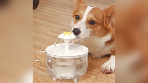 Flower USB Cat Water Fountain Automatic Electric Pet Cat Water Dispenser Flower Pet Water Feeder 1.5L