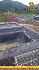 Bạt lót ao hồ 4m x 5m dày 0.5mm bảo hành 5 năm