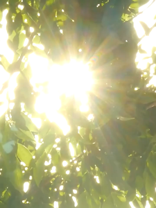 Premium Car Windshield Umbrella Foldable Sun Visor UV Reflector