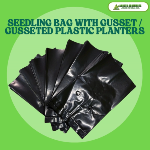 ARNETH SEEDLING BAG WITH GUSSET / GUSSETED PLASTIC PLANTERS FOR SMALL PLANTS AND SEEDLINGS ( LARGE SIZES )