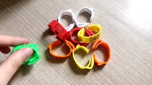 50/100Pcs Chicken Foot Ring Adjustable Size Multicolor Poultry Leg Band Tag Tool For Duck Chicken