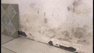 Pengatur Tinggi Keramik Dinding 4pcs Wall Ceramic Height Locator