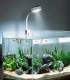 MIGUEL PETSHOP N AQUATIC
