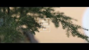 Mực bút máy Ink Pilot 30ml màu xanh đen đỏ hông phai không lắng cặn