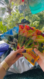 (combo 3 dưỡng hot+3 dưỡng lông) Cám dưỡng hot  cám dưỡng lông Lê Thịnh dành cho chim hút mật gói 100gr