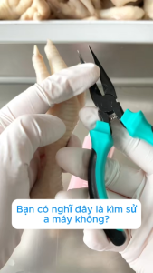 Dụng cụ Rút xương gà Kìm Rút Xương gà Chuyên Dụng gà xã tắc - 033