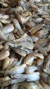 Khô Cá Chốt-khô rất ráo và chắc thịt sau khi chiên vàng hoặc nướng khô ăn rất thơm. Vựa Khô Minh Triết( 500g 200gr)