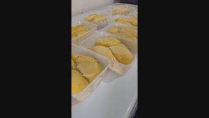 Dodol Durian Asli 1kg Khas Tangerang 5 Pcs Halal