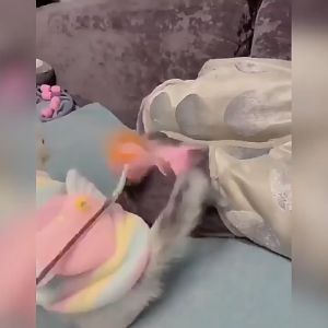 Áo ba lỗ bằng vải lông mềm mịn cho Chó Mèo các size nhỏ xs 2xs 3xs (link 2) - Love Pets Shop