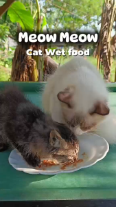 อาหารแมวเปียก Meow World 85g ปลาทูน่าแท้ 95% วิตามิน สูตรพรีเมียม รับรองโดยสัตวแพทย์ ลดขนร่วง ไวรัลติ๊กต็อก 2025