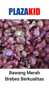 Bawang Merah Brebes / Bawang Merah Berkualitas 250 gram