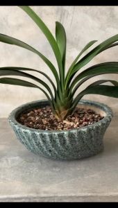 European Modern Minimalist Creative Ceramic Pot Personalized Design Hotsale Desktop Decoration Indoor Ceramic Flower Pot