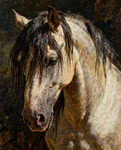 Kayou | New Arrival Number Oil Painting Horse Kit Unframed Canvas Painting By Numbers DIY Handmade Artwork Wall for House Decor