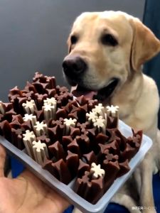 360g YaHo Dog Dental Sticks: A Comprehensive Guide