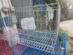 battery cage for Hen chicken galvanize and coated. size double cage.