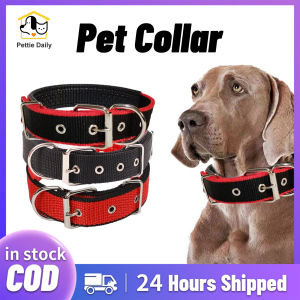 Pet Dog Collar Nylon Adjustable Buckle Collar Color Foam Collar Pet Collars for Big Dog Collar