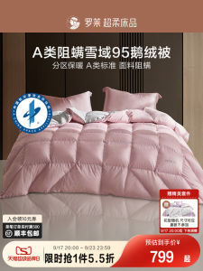 Loose down Comforter Duvet Core Goose down A-Class Anti-Flea 1.8m Bed Double Seasonal Spring Autumn Summer Quilt Coverlet
