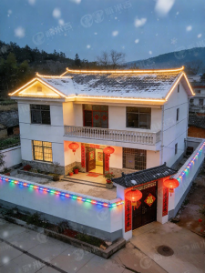 PAIMIJI | Waterproof Outdoor Flexible Decorative Light Strip 24V