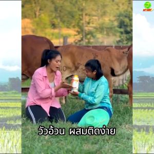 สัตว์กินเก่ง ขนสวย โตไว ปลอดภัยต่อผู้บริโภค ฟาสท์ไคโตซาน ฝาเหลือง2ขวด อาหารผสมสำหรับสัตว์ สารสกัดจากธรรมชาติ ใช้ได้กับสัตว์เกษตรทุกชนิด