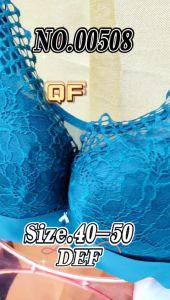 00508 Plus Size Delicate Lace Wireless Bra
