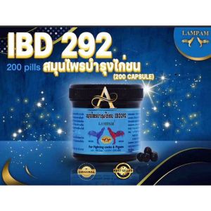 IBD 292  LAMPAM  ISI 200 pils  IMPORT THAILAND