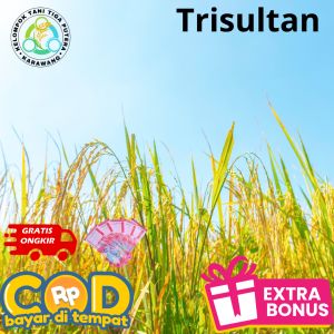 Bibit Padi Trisultan kemasan 1kg Berhadiah langsung jika beruntung