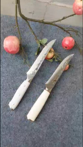 Cặp Dao Lọc Thịt Cá Hàng Nhật Dài 29cm cán màu trắng