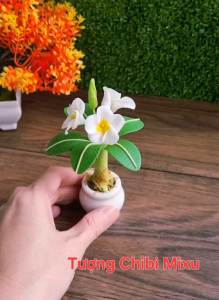 Chậu hoa sứ mini bằng đất sét Nhật tự khô