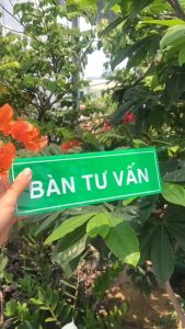 Bảng Chức Danh Mica chữ A kích thước 24x75cm