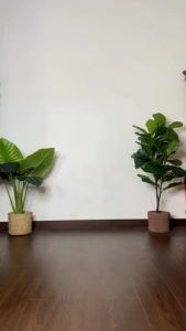 Marina Hair & Body Mist 100ml (kemasan baru)