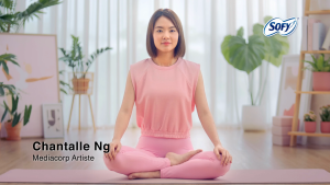 SOFY Hadaomoi Day Ultra Slim Wing Sanitary Pad 26cm 17pcs (24 Packs)