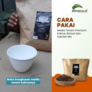 Media Tanam Mix Kaktus Sukulen Bonsai Premium 2 L